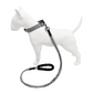 Correa Elástica Anti tirones para Perro con Collar Ajustable