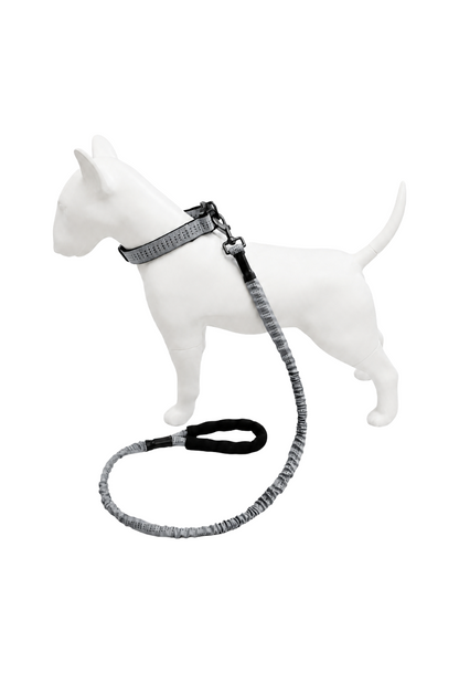 Correa Elástica Anti tirones para Perro con Collar Ajustable