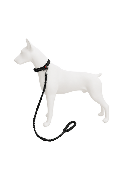 Correa Elástica Anti tirones para Perro con Collar Ajustable