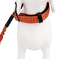 Correa Elástica Anti tirones para Perro con Collar Ajustable