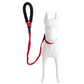 Correa Elástica Anti tirones para Perro con Collar Ajustable