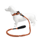 Correa Elástica Anti tirones para Perro con Collar Ajustable