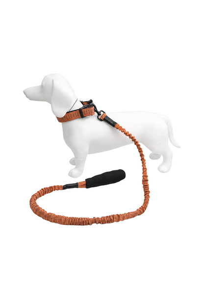 Correa Elástica Anti tirones para Perro con Collar Ajustable