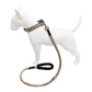 Correa Elástica Anti tirones para Perro con Collar Ajustable