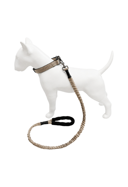 Correa Elástica Anti tirones para Perro con Collar Ajustable