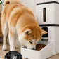 Dispensador Automático de Comida para Mascotas con Cámara y Grabadora de Voz