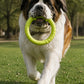 Anillo Mordedor para Perros LAROO 🐶💚 – Fitness Ring 30 cm