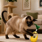 Juguete Interactivo para Gato con Pluma y Bola de Catnip