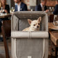 Morral Transportador para Gato y Perro Pequeño Expandible y Portátil