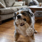 Juguete de Cuerda para Perros con Nudos