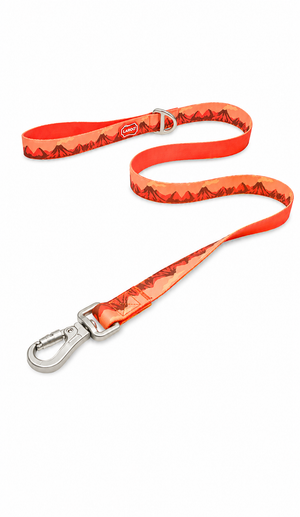 Correa para Mascotas LAROO 🐶🐱 – Antifluido (Resistente al agua)