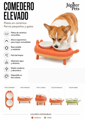 Comedero Elevado plato cerámica  Doble para Gato con Diseño de Gatito