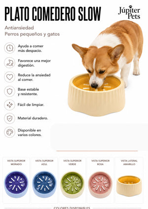Plato Comedero Slow Feeder para Perros y Gatos Anti ansiedad