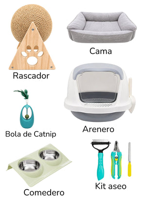 Kit súper bienvenida para tu gato