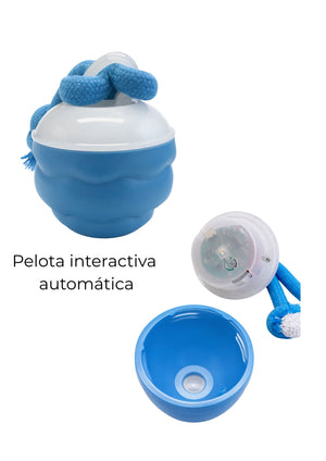 Kit desarrollo y juego perros