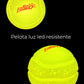 Kit desarrollo y juego perros