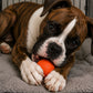 Pelota interactiva chillona para perros - Laroo