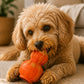 Juguete Interactivo Dispensador de Snacks para Perros LAROO