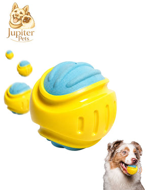 Pelota rebotadora para perros