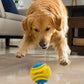 Pelota rebotadora para perros